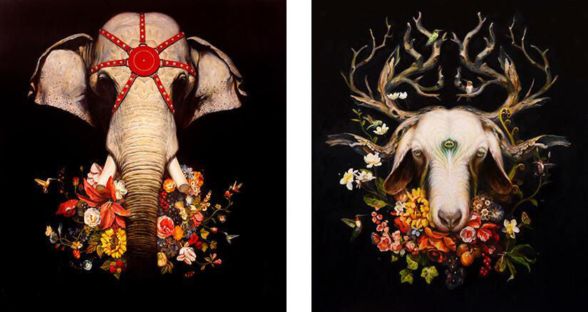 Interview with Martin Wittfooth