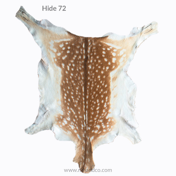 fallow deer hide