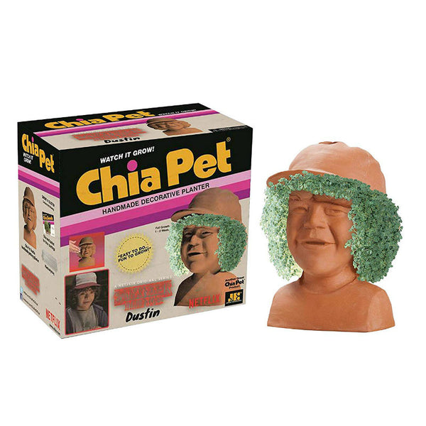 Dustin from Stranger Things Chia Pet