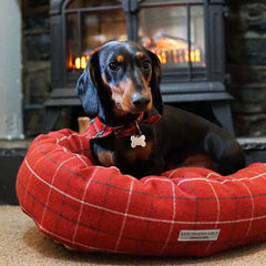 Lounging Lily donut dog bed