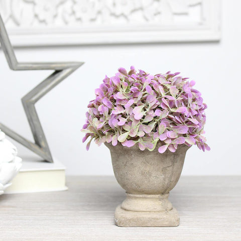 Potted Purple Hydrangea