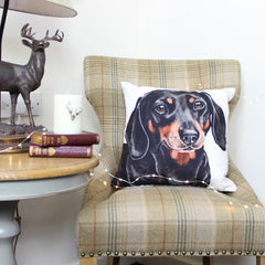 Dachshund WaggyDogz Cushion