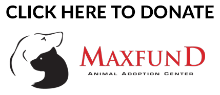 maxfund adoption center