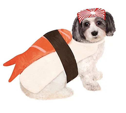 sushi dog costume