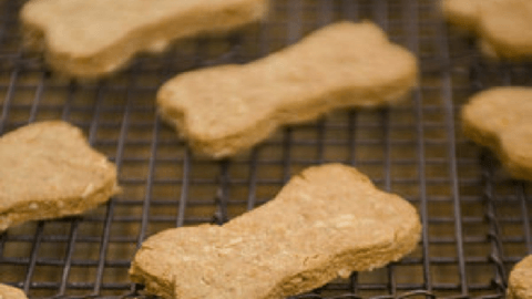 Apple cheddar dog biscuit