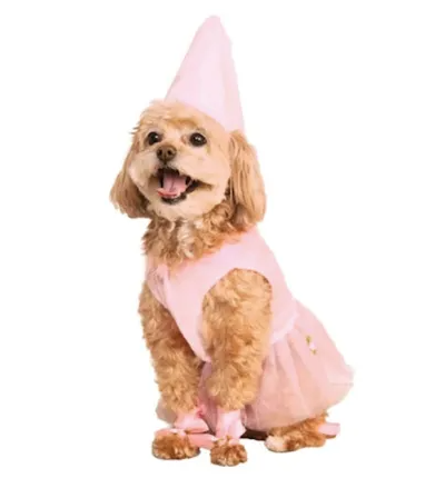 dog princess costume