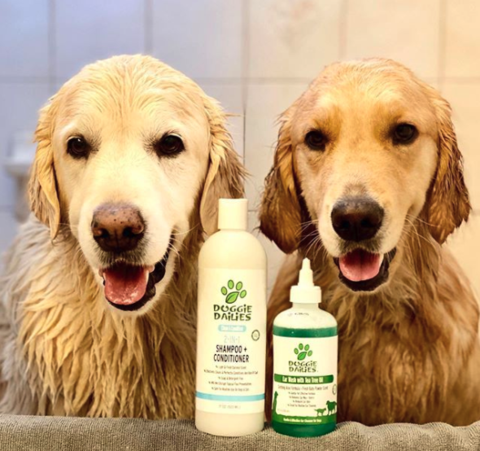 dog shampoo