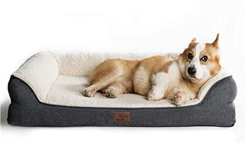 dog bed