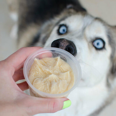 Pumpkin dog treat