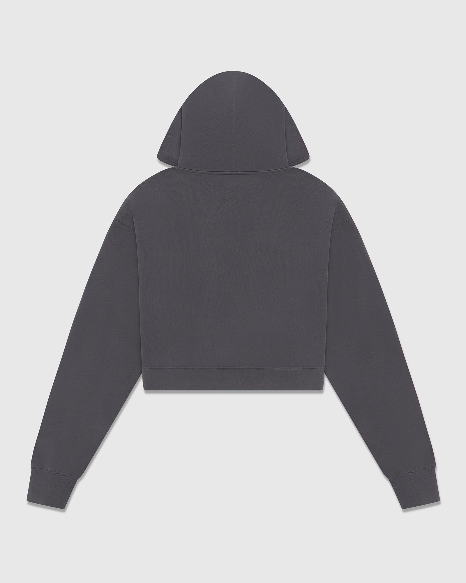 Ash Grey Crop Zip Hoodie