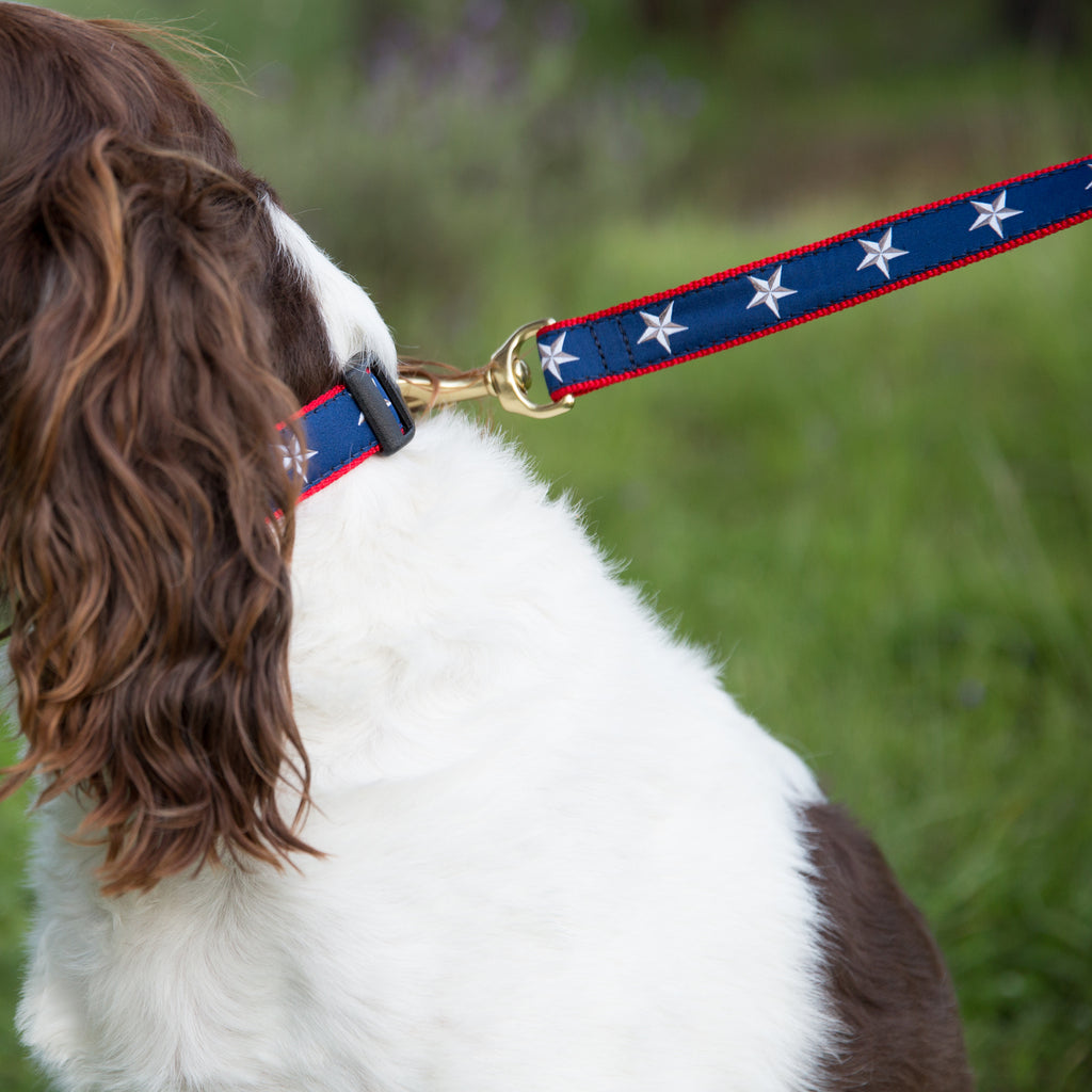 6 foot dog leash