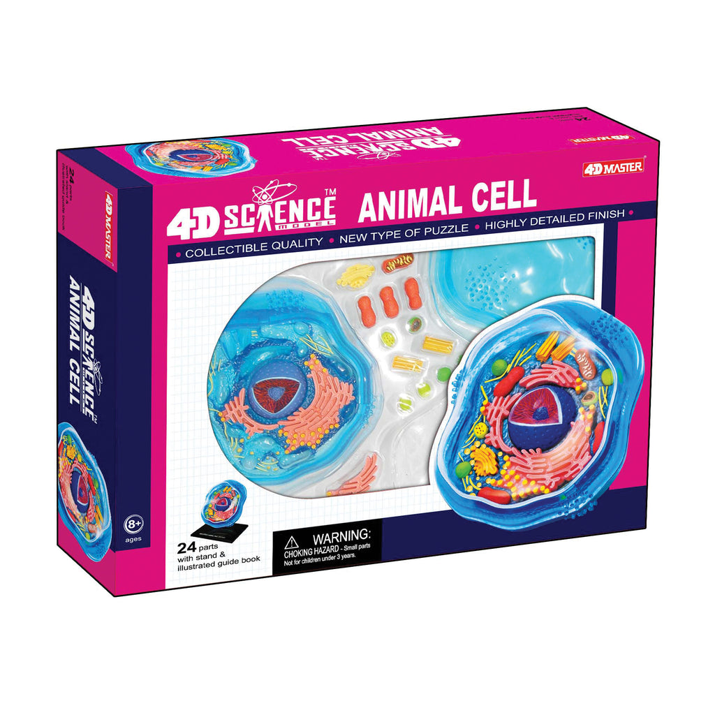 4d Science Animal Cell Model Science Toys And Gifts S T E M Store Of Canada