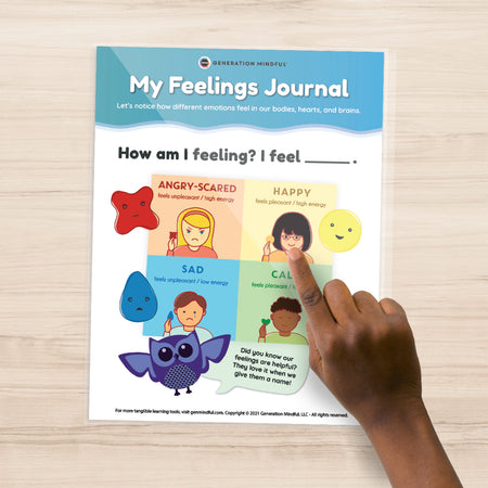 My Feelings Journal