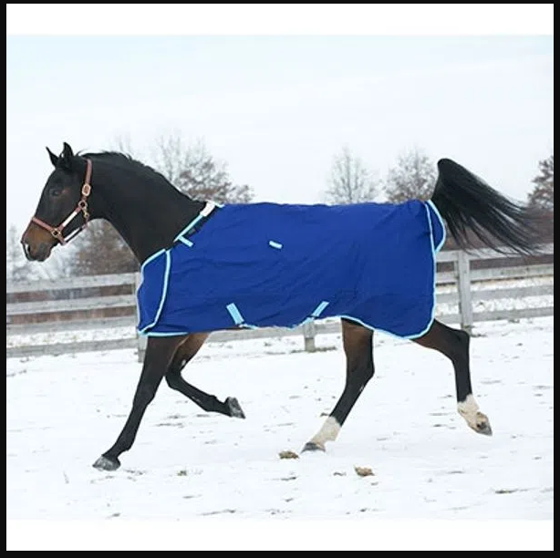 unique horse blankets