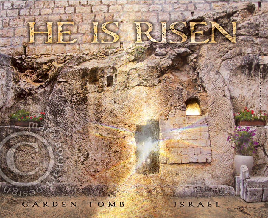 Risen for mac download free