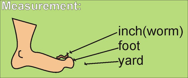 Story and visual to help teach measurement terms successfully