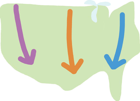 Migration Map