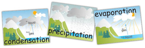 Water Cycle Vocabulary