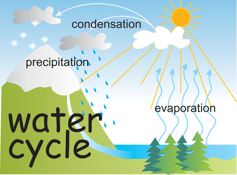 Water Cycle SnapWord®