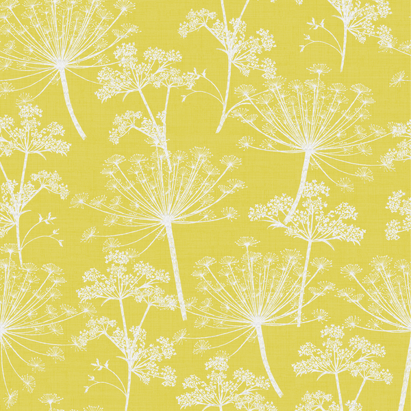 Cow Parsley Wallpaper, Seed Head Wallpaper, Dandelion Clocks Wallpaper