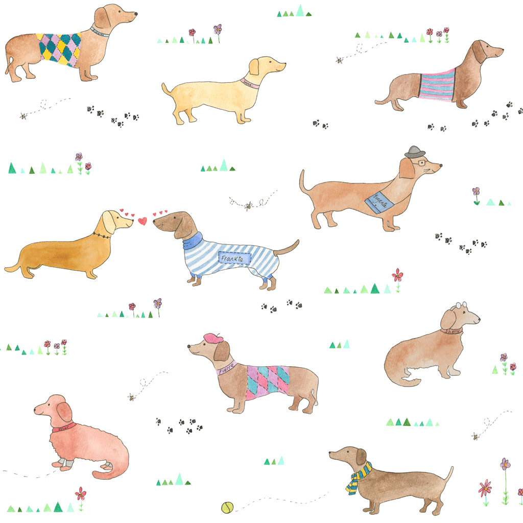 Sausage Dog Wallpaper Home Accessory For Dog Lover Sausage Dog