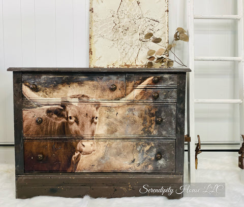 Texas Longhorn Dresser Makeover