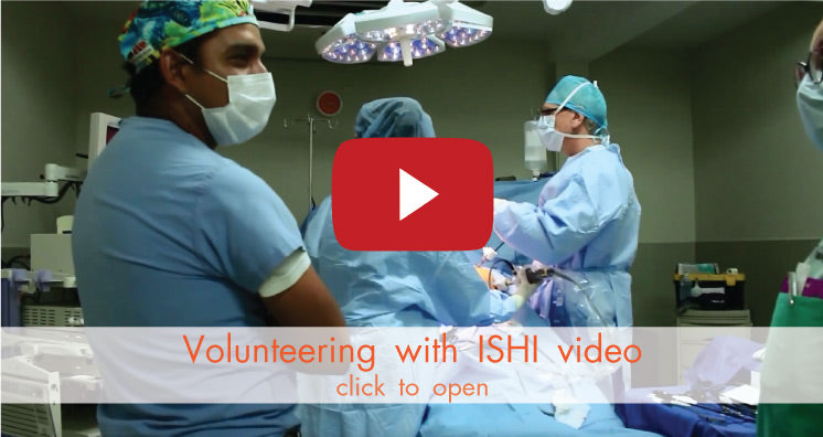 Volunteering with ISHI