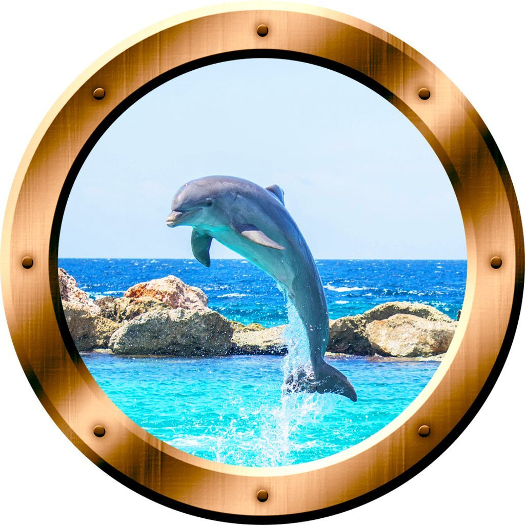 can dolhpin on windows play with dolphin on mac