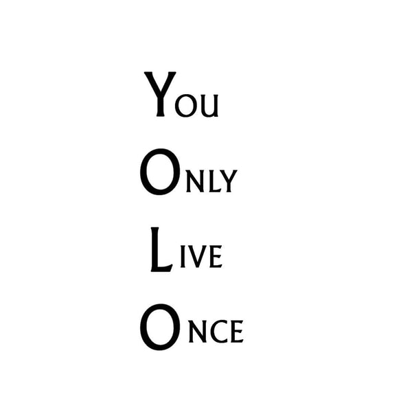 YOLO - You Only Live Once Vinyl Wall Decal VWAQ