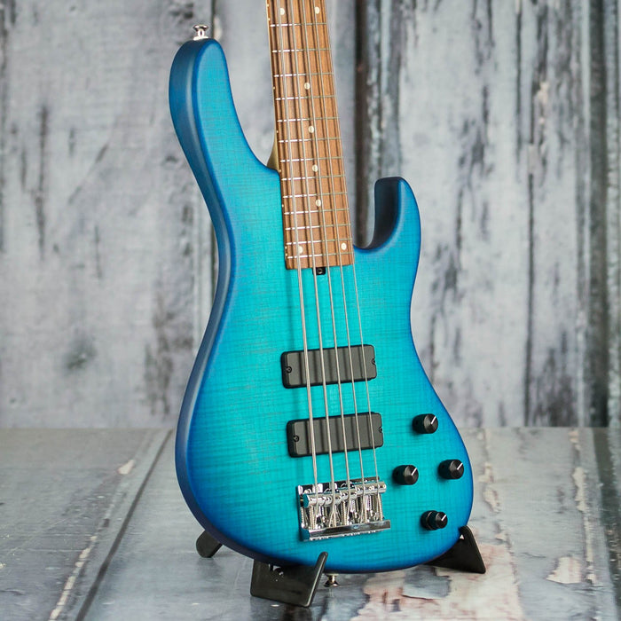 24 string bass