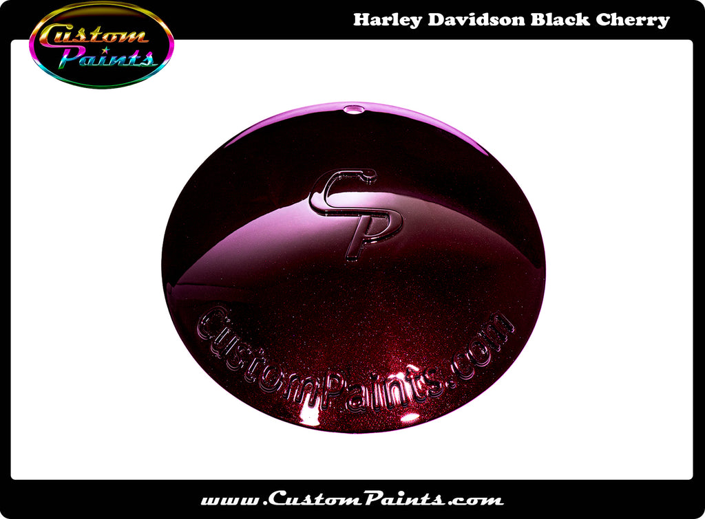 Harley Davidson Code 075 Brilliant Silver Paint Kit 