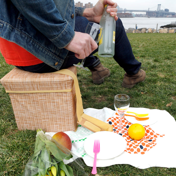 picnic box cooler