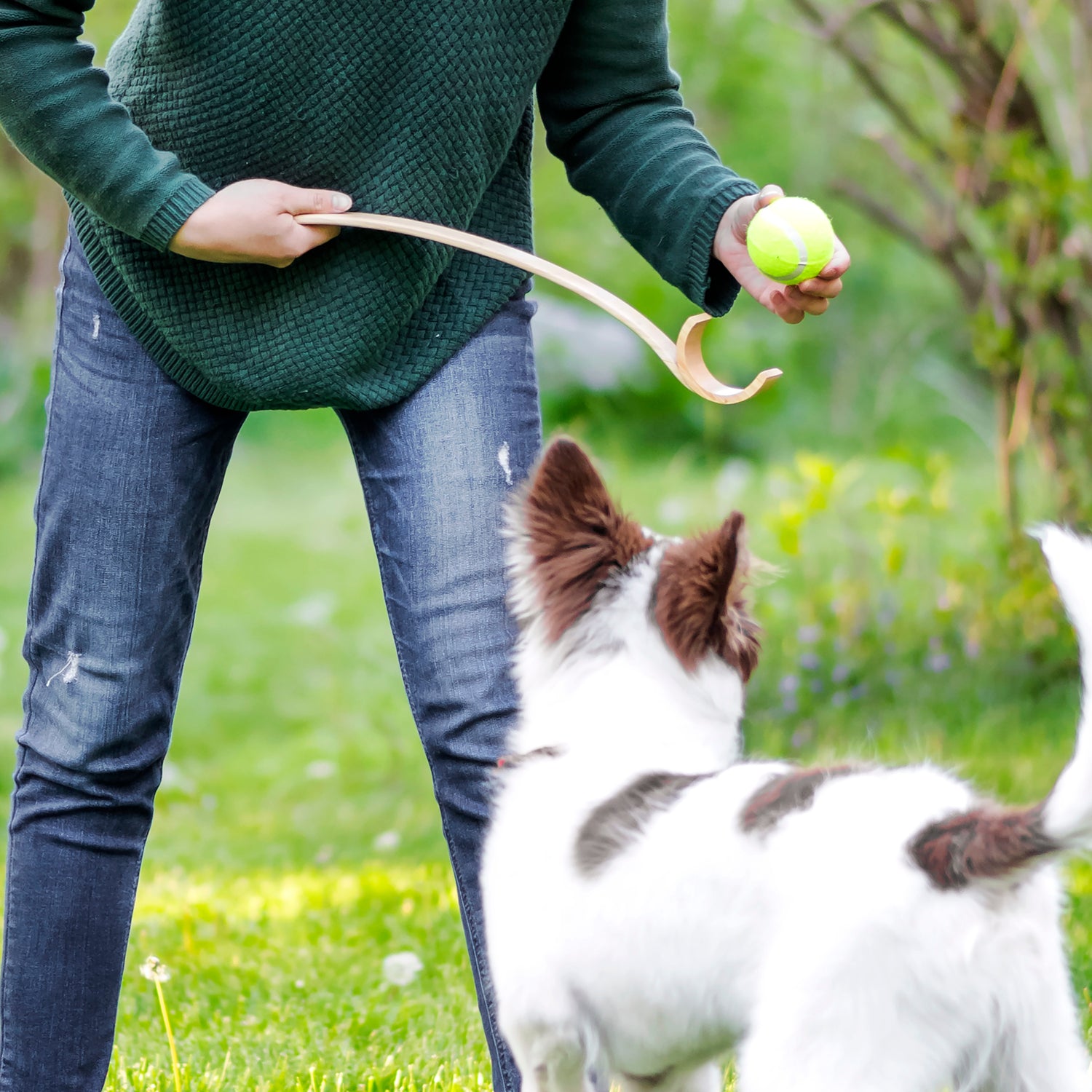 Frisbee para perro Kikkerland™ Kobe