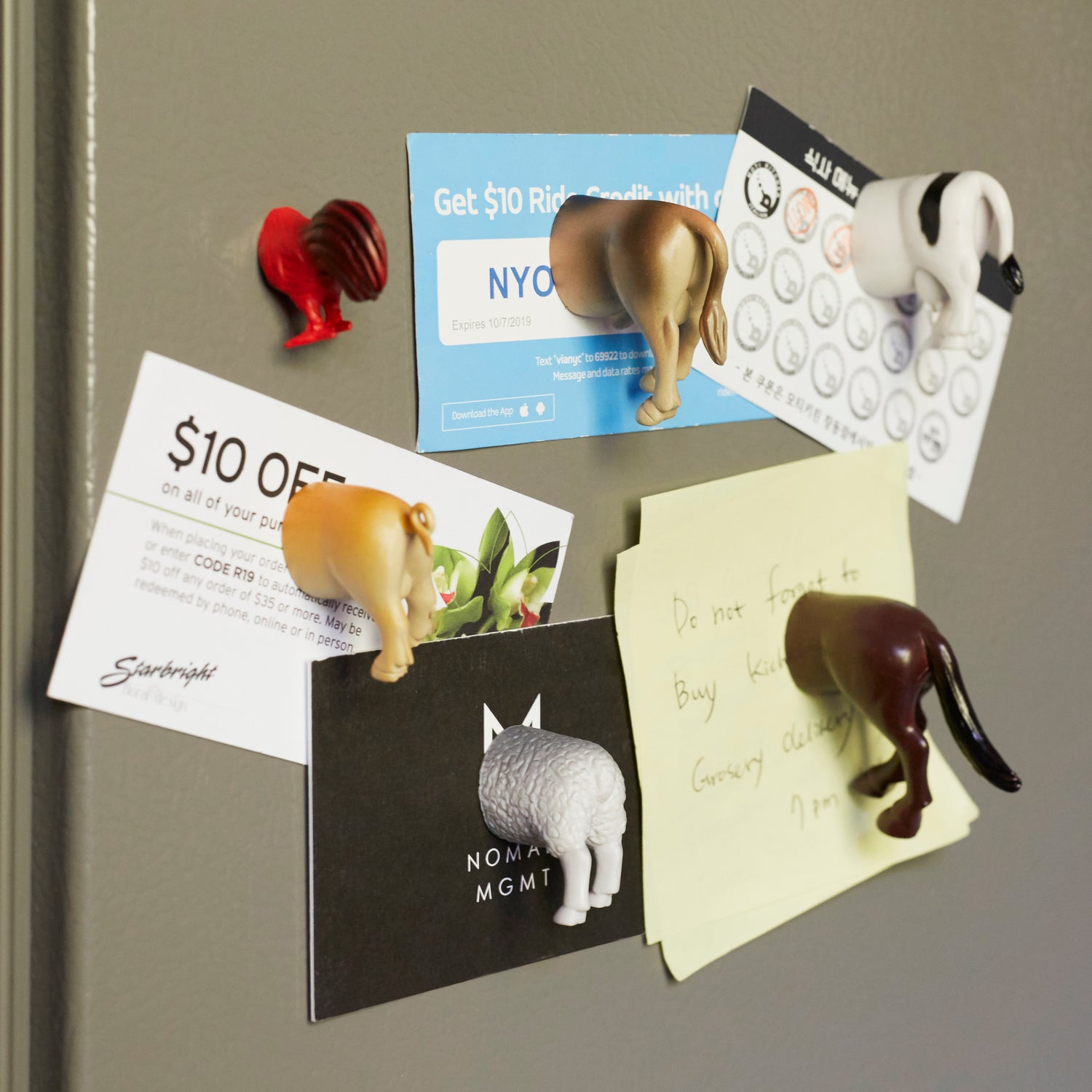 Safari Animal Butt Magnets – Kikkerland Design Inc