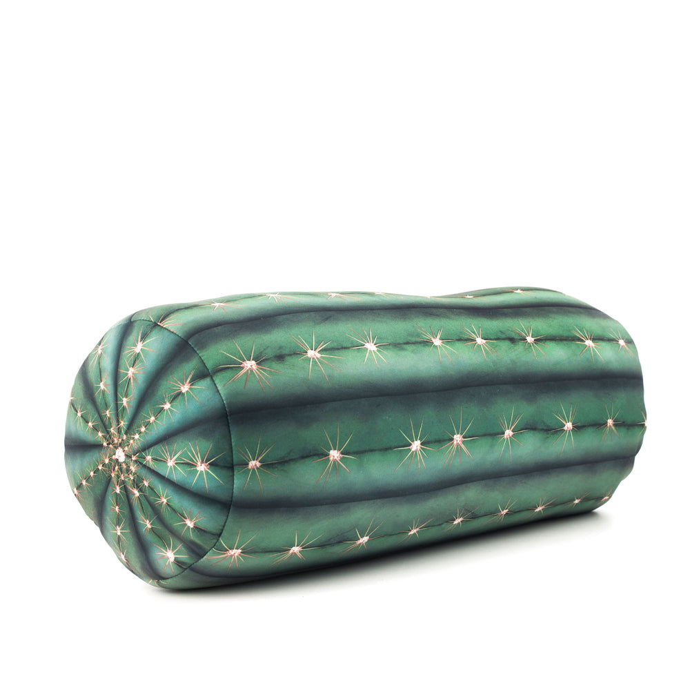 cactus pillow