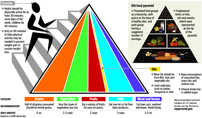 food pyramid refresher lesson enduraq