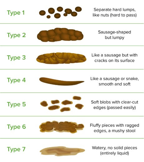 Poop Chart