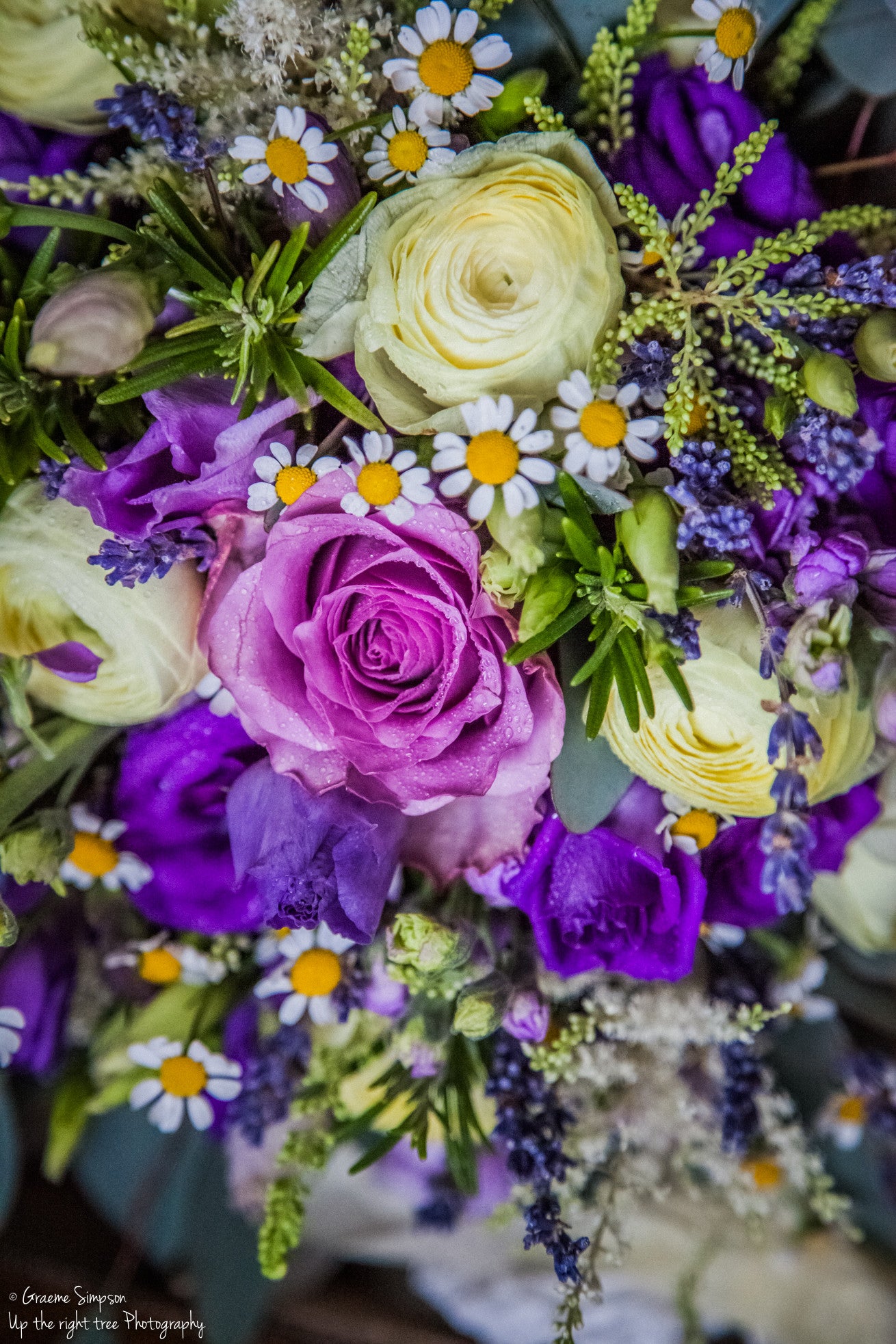 Bride's bouquet with cream Ranunculus, grape coloured Hyacinths, white Daisies, lilac Roses and Lisianthus, Rosemary and Astilbe.