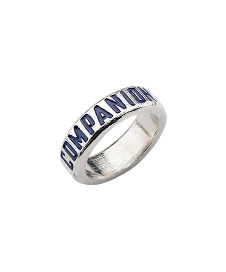 Doctor Who Companion Stainless Steel Ring