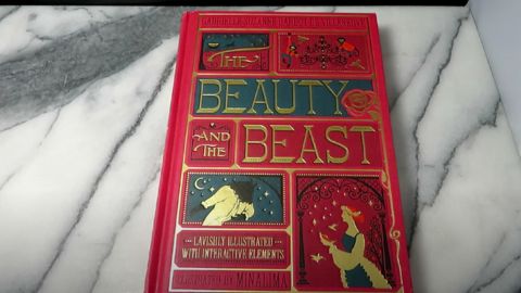 Beauty and the Beast Book