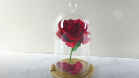 Beauty and the Beast Rose Centerpiece