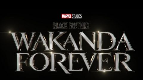 Black Panther Wakanda Forever