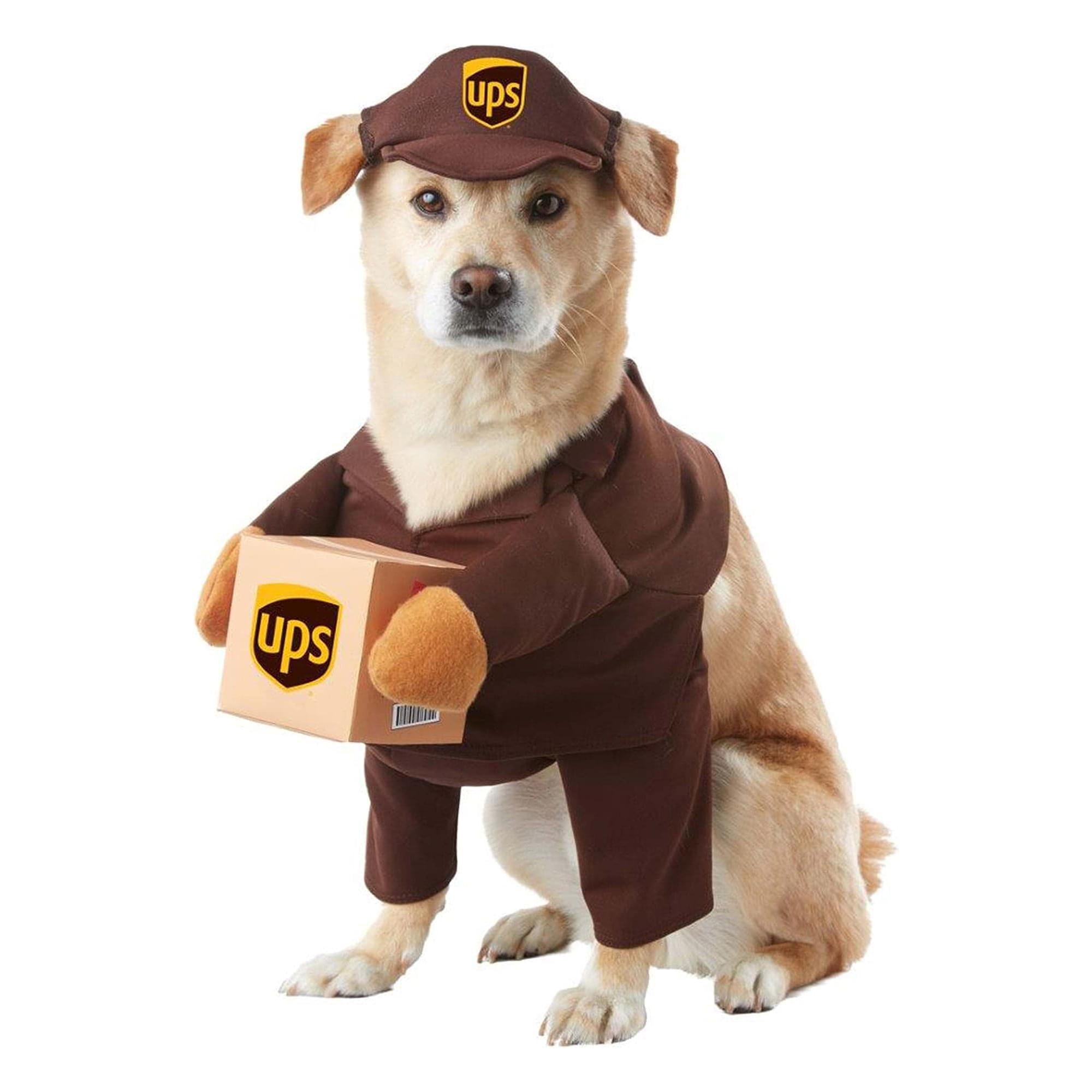 Ups Pal Dog Costume