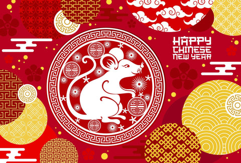 Chinese Year of the Rat: A Brief Description