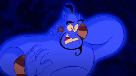 Close Up Image of Genie