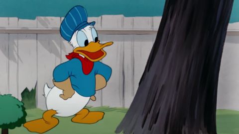 Donald Duck Standing on a Tree