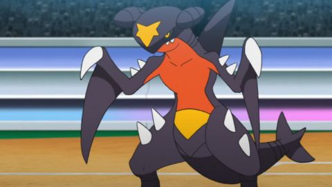 Image of Garchomp