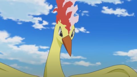 Image of Moltres