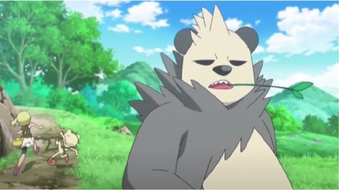 Image of Pangoro