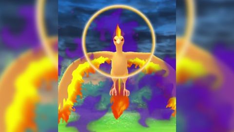 Image of Shadow Moltres